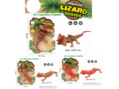 <img src='photo/Z/JZ123407.jpg'width='400' height='300'>