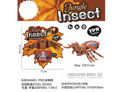 <img src='photo/Z/JZ123409.jpg'width='400' height='300'>