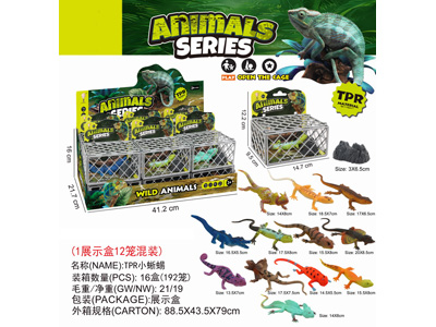 <img src='photo/Z/JZ123421.jpg'width='400' height='300'>