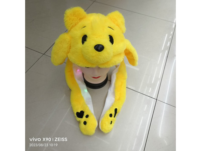 <img src='photo/Z/JZ123545.jpg'width='400' height='300'>