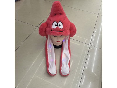 <img src='photo/Z/JZ123547.jpg'width='400' height='300'>