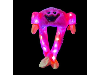 <img src='photo/Z/JZ123555.jpg'width='400' height='300'>