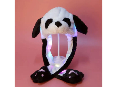 <img src='photo/Z/JZ123557.jpg'width='400' height='300'>