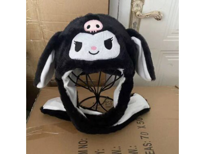 <img src='photo/Z/JZ123565.jpg'width='400' height='300'>