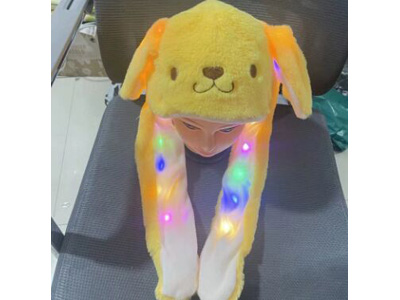 <img src='photo/Z/JZ123578.jpg'width='400' height='300'>