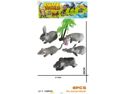 <img src='photo/Z/JZ123613.jpg'width='400' height='300'>