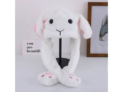 <img src='photo/Z/JZ123640.jpg'width='400' height='300'>