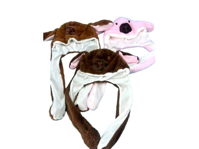 <img src='photo/Z/JZ123651.jpg'width='400' height='300'>