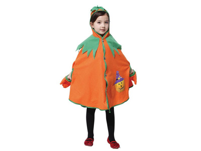 <img src='photo/Z/JZ123671.jpg'width='400' height='300'>