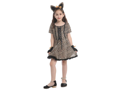 <img src='photo/Z/JZ123692.jpg'width='400' height='300'>