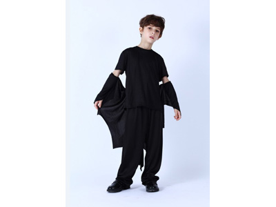 <img src='photo/Z/JZ123803.jpg'width='400' height='300'>