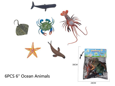 <img src='photo/Z/JZ124506.jpg'width='400' height='300'>