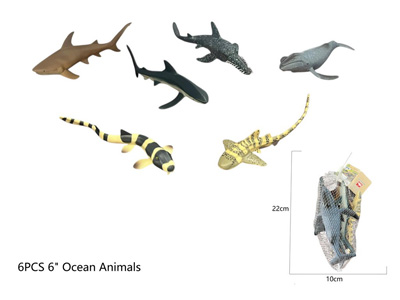 <img src='photo/Z/JZ124516.jpg'width='400' height='300'>