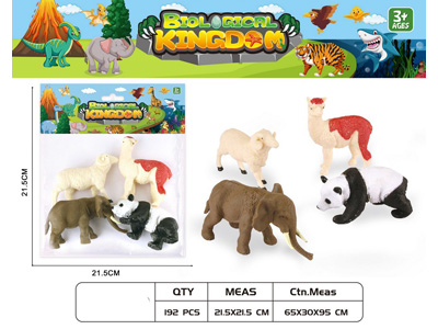 <img src='photo/Z/JZ124631.jpg'width='400' height='300'>