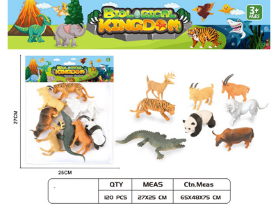 <img src='photo/Z/JZ124635.jpg'width='400' height='300'>