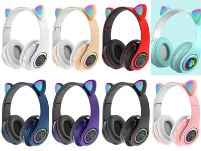 <img src='photo/Z/JZ124693.jpg'width='400' height='300'>