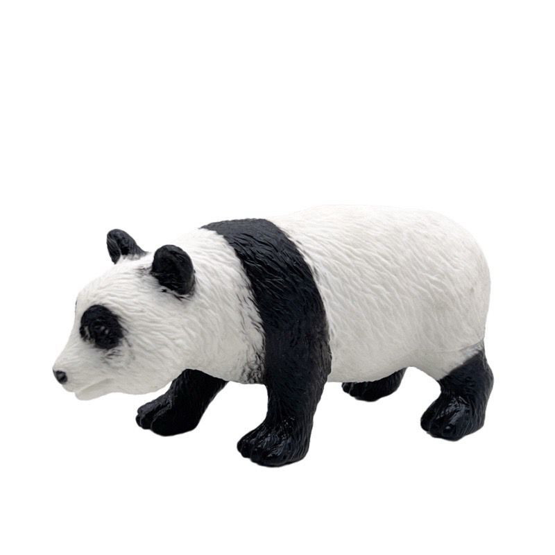 <img src='photo/Z/JZ125996.jpg'width='400' height='300'>