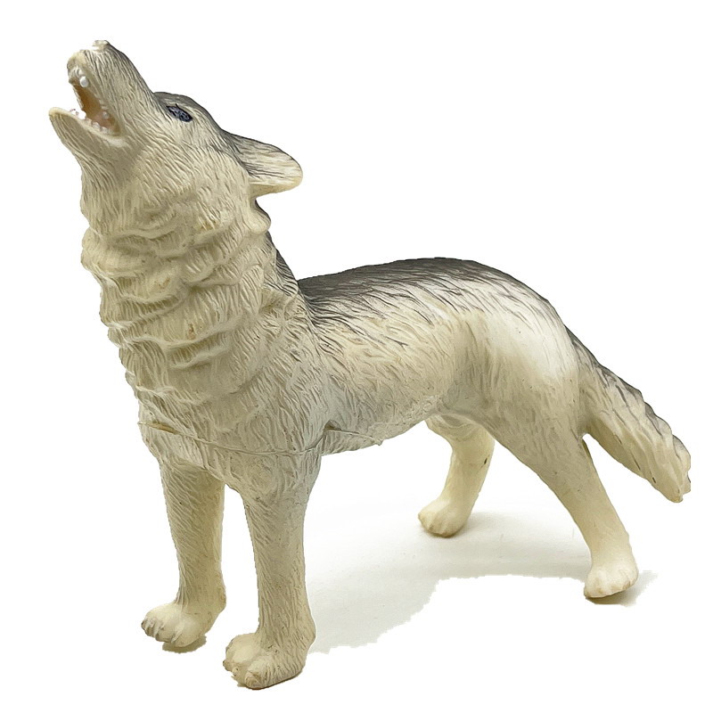 <img src='photo/Z/JZ126000.jpg'width='400' height='300'>