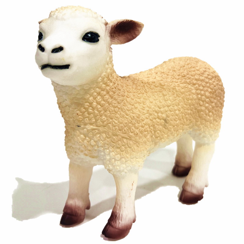 <img src='photo/Z/JZ126003.jpg'width='400' height='300'>