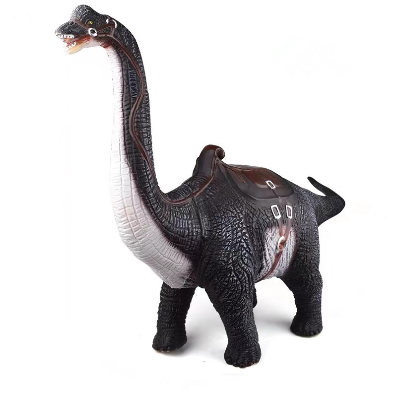 <img src='photo/Z/JZ126024.jpg'width='400' height='300'>