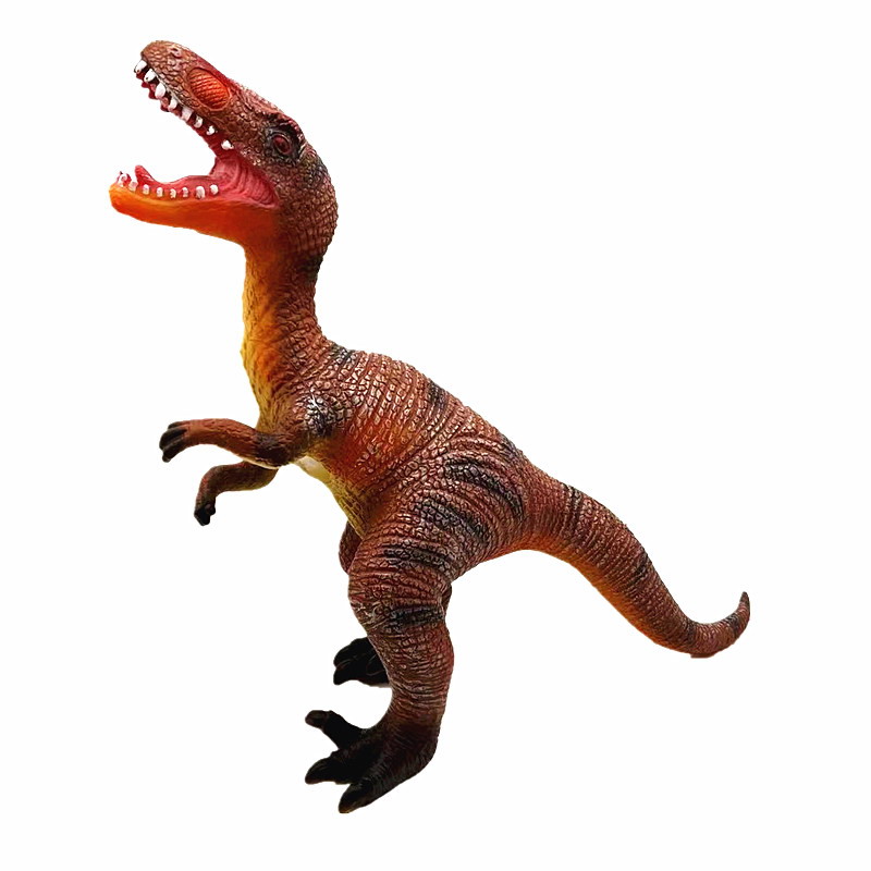 <img src='photo/Z/JZ126039.jpg'width='400' height='300'>