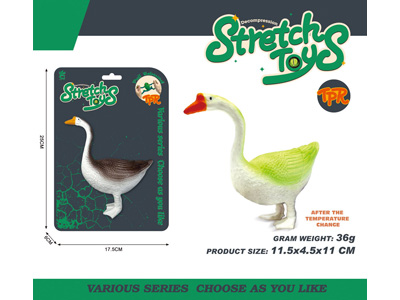 <img src='photo/Z/JZ126472.jpg'width='400' height='300'>