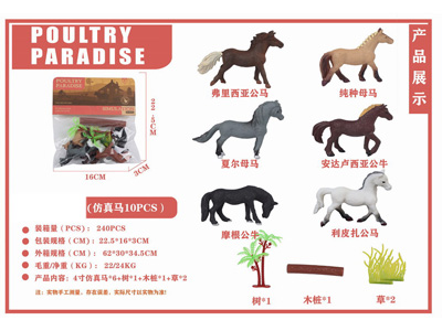 <img src='photo/Z/JZ126795.jpg'width='400' height='300'>