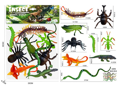 <img src='photo/Z/JZ127925.jpg'width='400' height='300'>