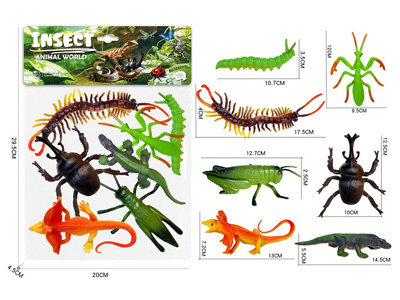 <img src='photo/Z/JZ127927.jpg'width='400' height='300'>