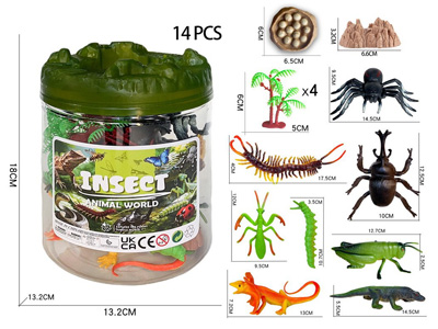 <img src='photo/Z/JZ127932.jpg'width='400' height='300'>