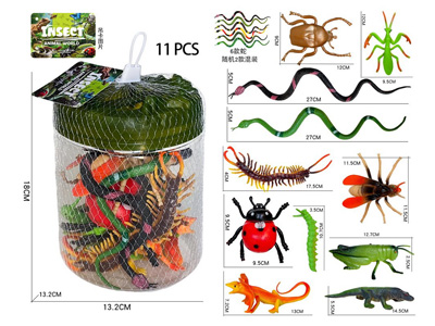 <img src='photo/Z/JZ127937.jpg'width='400' height='300'>