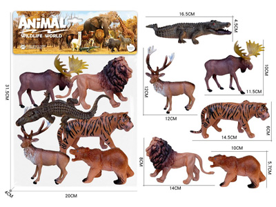 <img src='photo/Z/JZ127938.jpg'width='400' height='300'>